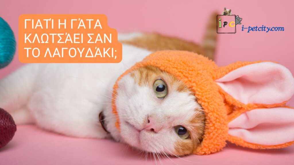 Γιατί η γάτα κλωτσάει σαν το λαγουδάκι;