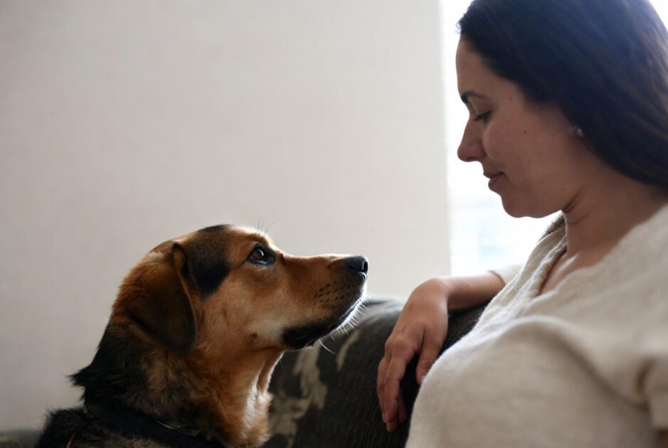 Ο Σκύλος σου Νιώθει Πότε Είσαι Άρρωστος