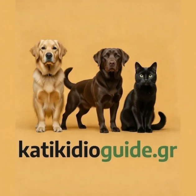 katikidioguide