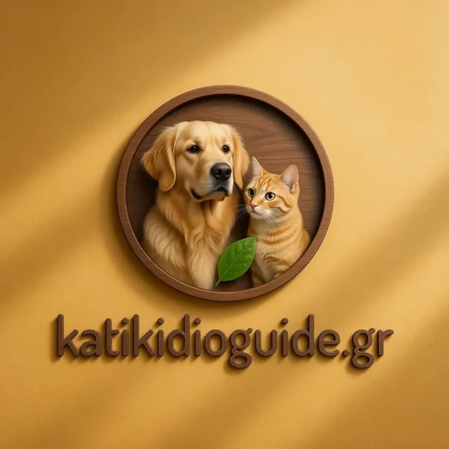 katikidioguide
