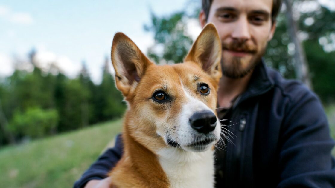 Μνήμη του Σκύλου Ξεχνάει Πραγματικά τον Άνθρωπό του