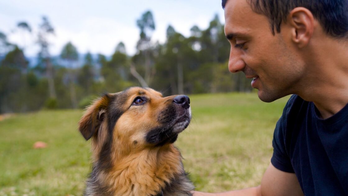 Μνήμη του Σκύλου Ξεχνάει Πραγματικά τον Άνθρωπό του